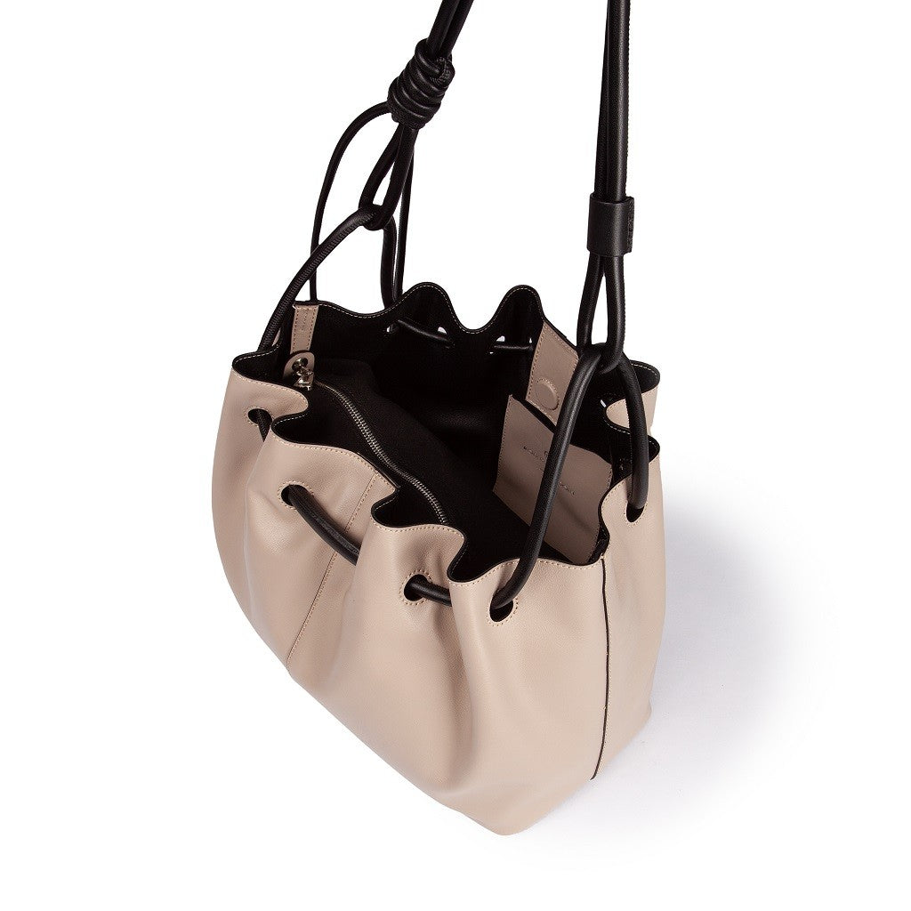 Gisella medium